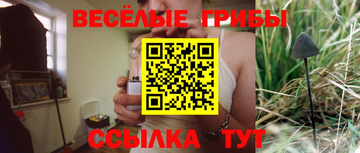 Галлюциногенные грибы ЛСД  Галлюциногенные грибы Magic Shrooms  Зеленогорск  Вход с VPN 